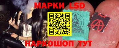 шишки Кинель