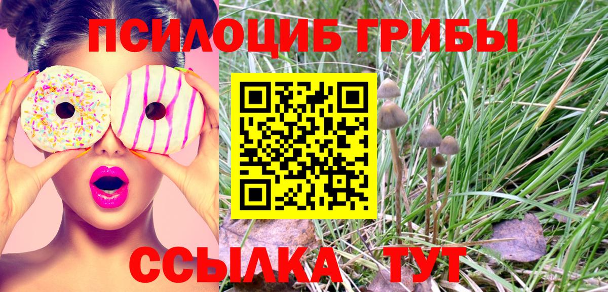 где купить наркоту  Вход с VPN  Воткинск  Галлюциногенные грибы мухоморы 